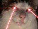 chat-cat-suspect-bizarre-tarax-mignon-verre-vin-maredioa-regard-menace-lasers-yeux-superman