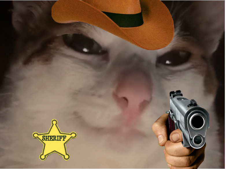 chat suspicieux sherif malicieux gun