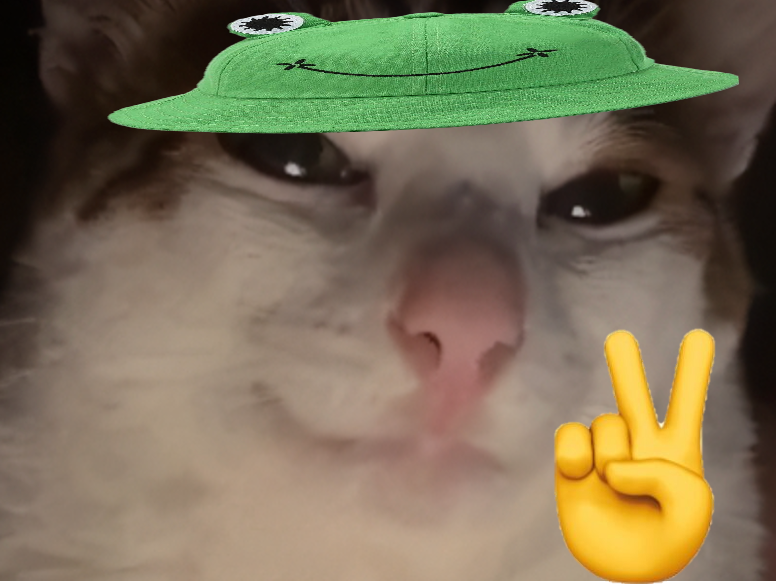 chat sus grenouille chapeau mignon thunberg greta