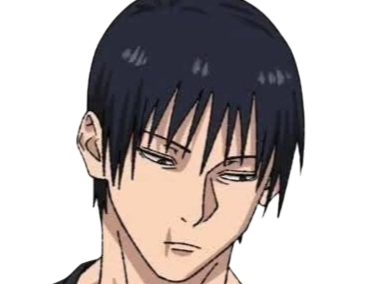 jujutsu kaisen toji fushiguro