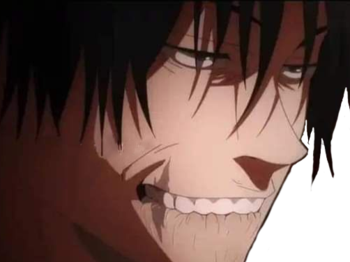 jujutsu kaisen toji fushiguro