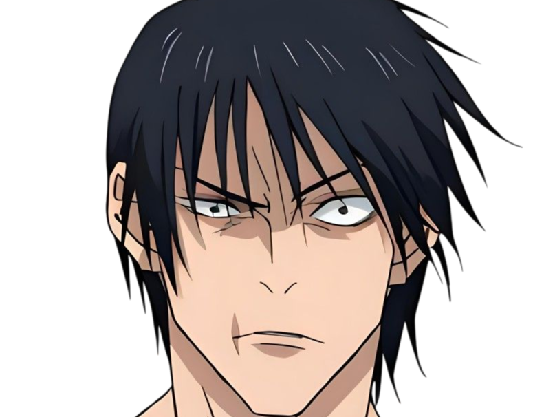 jujutsu kaisen toji fushiguro