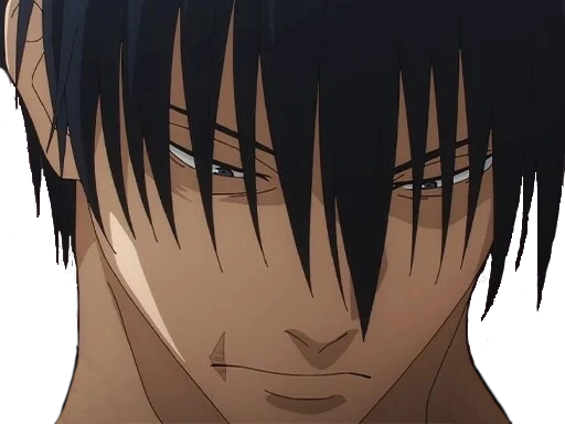 jujutsu kaisen toji fushiguro