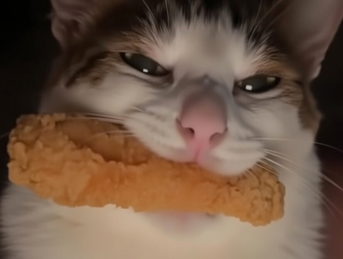 chat poulet pane diable