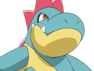 crocrodil-croconaw-alligates-pokemon-pkm-jeu-anime-type-eau-2g-johto-starter-machoire