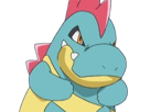 crocrodil-croconaw-alligates-pokemon-pkm-jeu-anime-type-eau-2g-johto-starter-machoire
