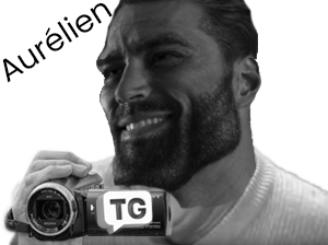 twitchgauchiste gigachad gaucho aurelien