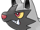 medhyena-poochyena-pochiena-pokemon-pkm-anime-jeu-type-tenebres-3g-hoenn-morsure