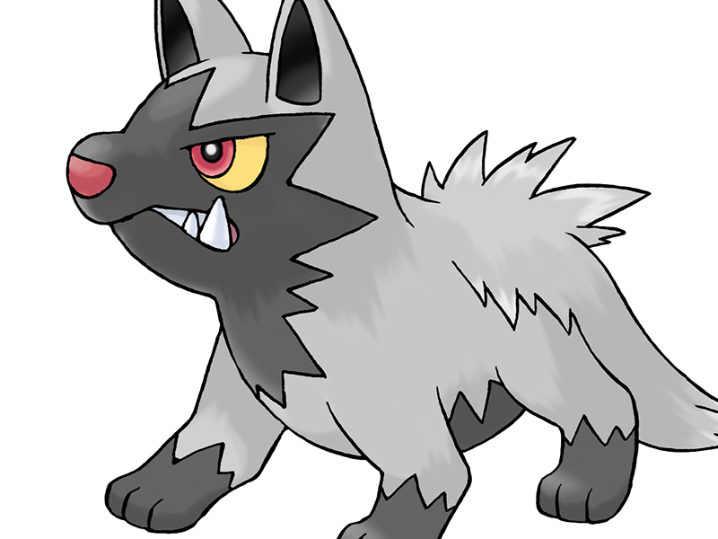 medhyena poochyena pochiena pokemon pkm anime jeu type tenebres 3g hoenn morsure