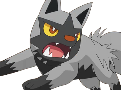 medhyena poochyena pochiena pokemon pkm anime jeu type tenebres 3g hoenn morsure
