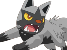 medhyena-poochyena-pochiena-pokemon-pkm-anime-jeu-type-tenebres-3g-hoenn-morsure