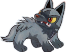 medhyena-poochyena-pochiena-pokemon-pkm-anime-jeu-type-tenebres-3g-hoenn-morsure