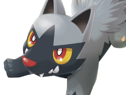 medhyena poochyena pochiena pokemon pkm anime jeu type tenebres 3g hoenn morsure