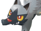medhyena-poochyena-pochiena-pokemon-pkm-anime-jeu-type-tenebres-3g-hoenn-morsure