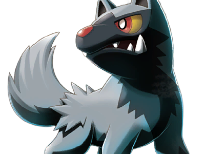 medhyena poochyena pochiena pokemon pkm anime jeu type tenebres 3g hoenn morsure