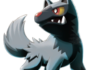 medhyena-poochyena-pochiena-pokemon-pkm-anime-jeu-type-tenebres-3g-hoenn-morsure