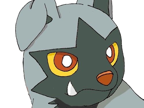 medhyena poochyena pochiena pokemon pkm anime jeu type tenebres 3g hoenn morsure