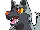 medhyena-poochyena-pochiena-pokemon-pkm-anime-jeu-type-tenebres-3g-hoenn-morsure