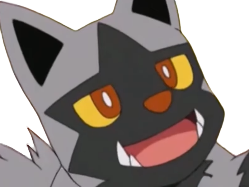 medhyena poochyena pochiena pokemon pkm anime jeu type tenebres 3g hoenn morsure