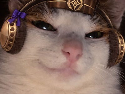 chat cat suspect bizarre tarax mignon gold ship golshin umamusume