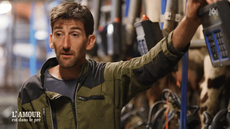 m6u amour est dans le pre caca vache bouse sd anonym