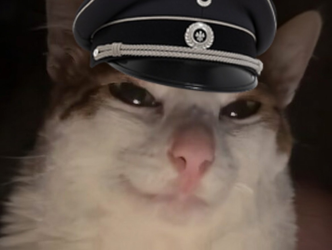 chat cat ss nazi hitler gooner
