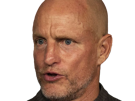 woody-tracy-harrelson-acteur-homme-americain-chauve-cinquantaine-cinquantenaire