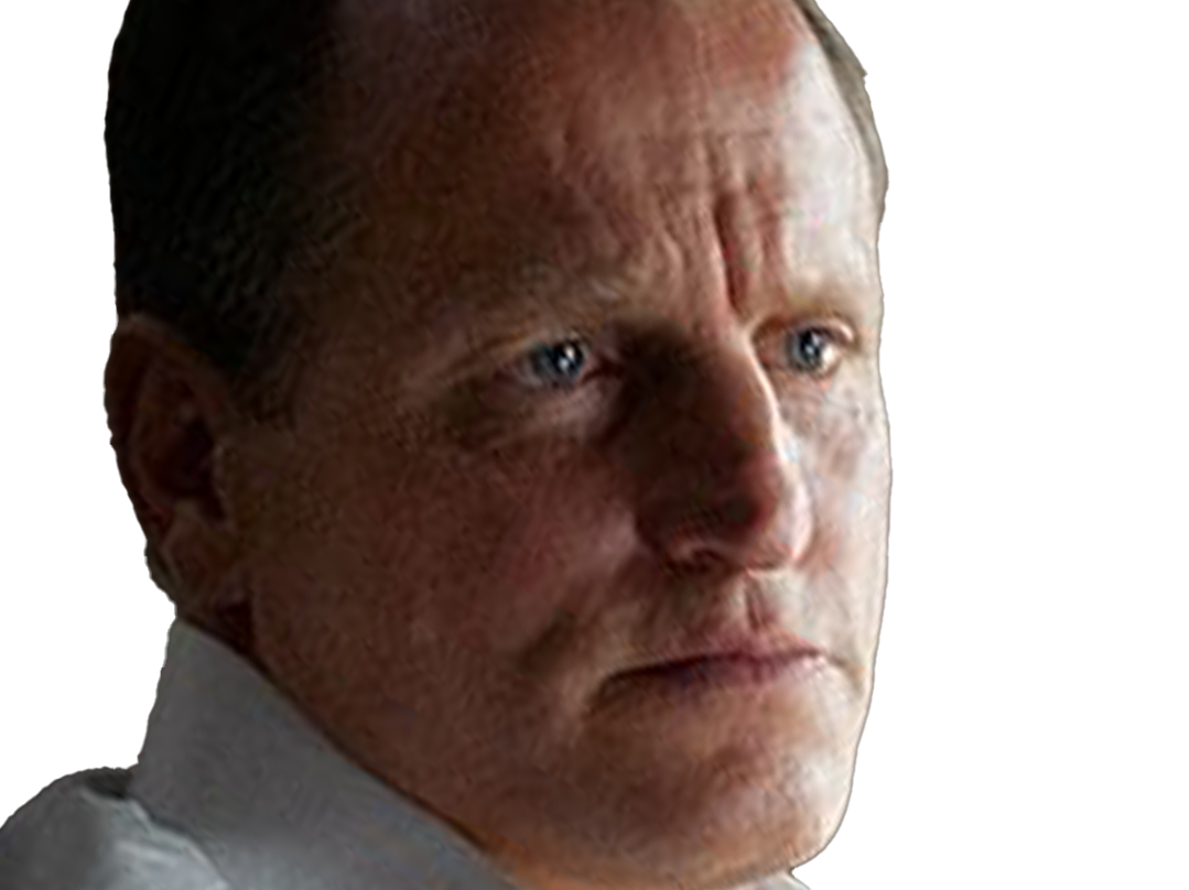 woody tracy harrelson acteur homme americain chauve cinquantaine cinquantenaire