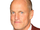 woody-tracy-harrelson-acteur-homme-americain-chauve-cinquantaine-cinquantenaire