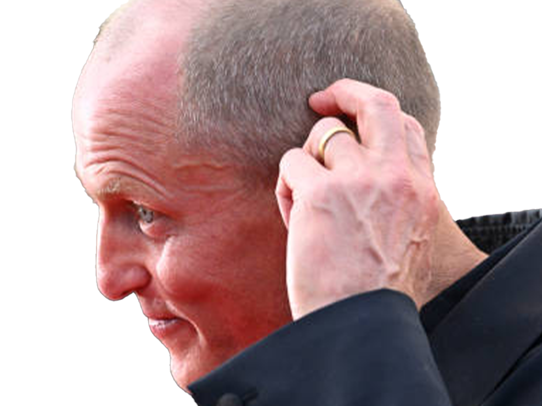 woody tracy harrelson acteur homme americain chauve cinquantaine cinquantenaire