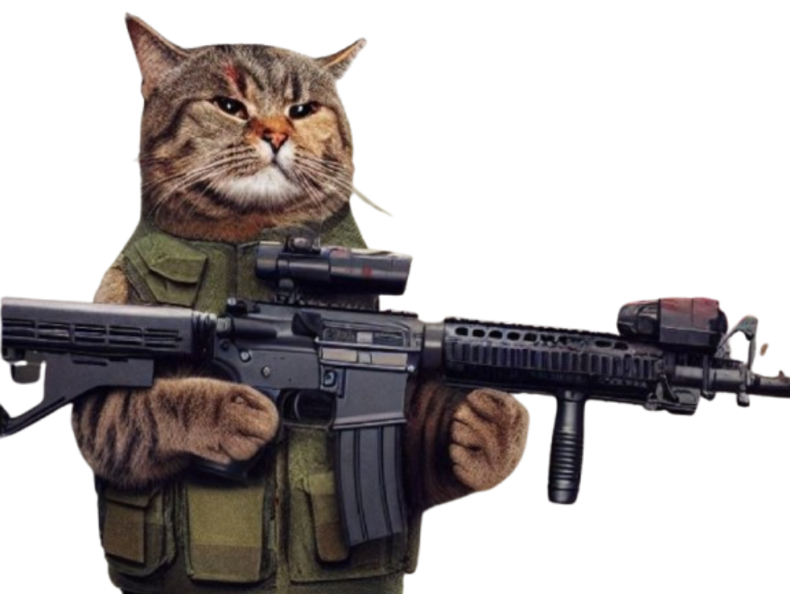 chat fusil arme mignon issou aya ahi ent