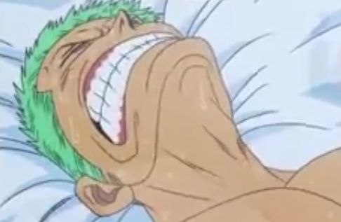 roronoa zoro one piece transpi souffre transpiration lit oda