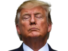 trump-donald-plaisir-comble-extase-content-satisfait-epanoui-heureux-calme-apaise-serein-paisible-tranquille-knifos