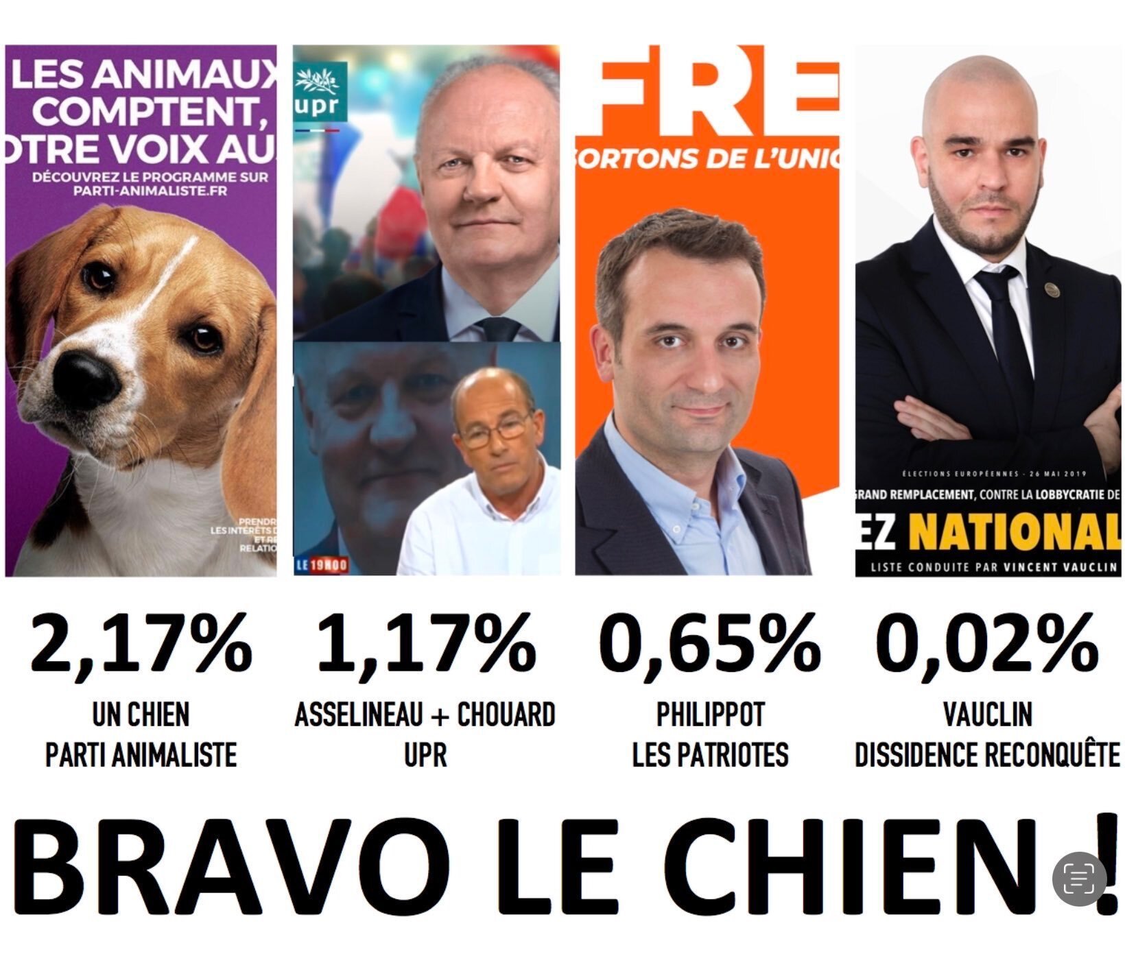 philippot asselineau reconquete chien elections perdant defaite vote patriotes pourcentage