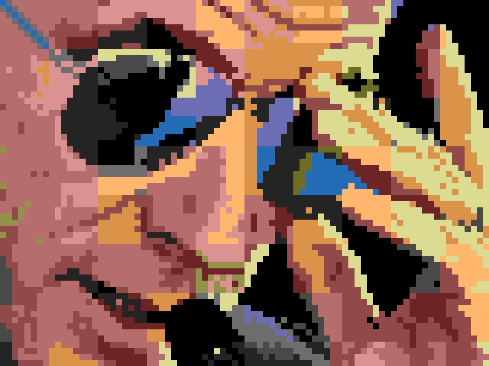 macron lunette pixel expert classe raison