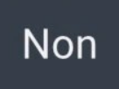 non lb littleboots deni