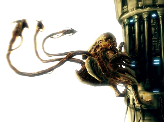 monstruosite difforme hybride monstre horreur