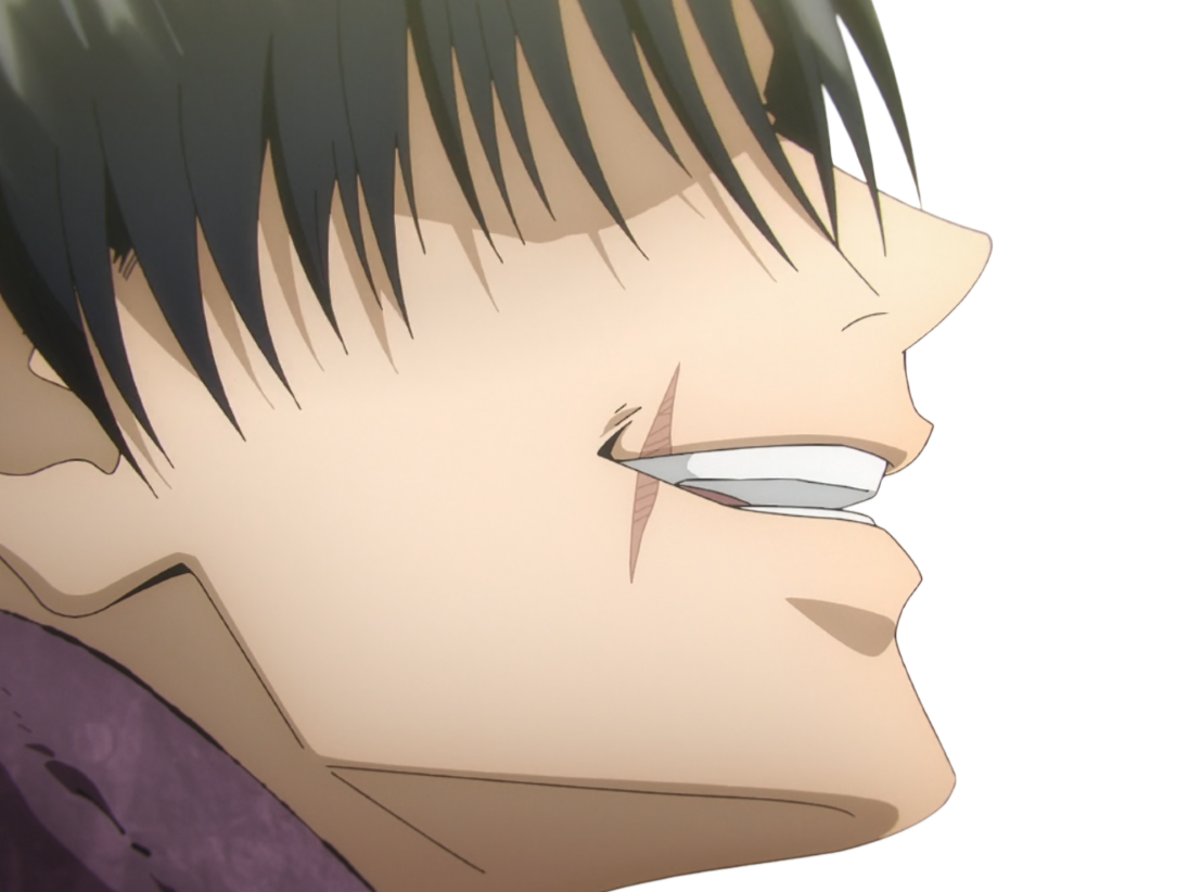 jujutsu kaisen toji fushiguro