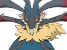 mega-mega-lucario-lucario-pokemon-pkm-jeu-anime-type-combat-acier-4g-sinnoh-aura-emanation