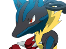 mega-mega-lucario-lucario-pokemon-pkm-jeu-anime-type-combat-acier-4g-sinnoh-aura-emanation