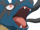 mega-mega-lucario-lucario-pokemon-pkm-jeu-anime-type-combat-acier-4g-sinnoh-aura-emanation