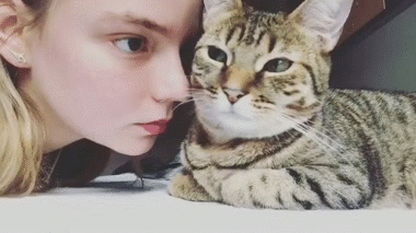 any mani brea peak blind alia atreides dune menu gato meow miaou mao katz kitty