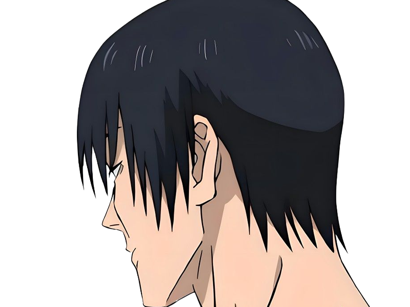 jujutsu kaisen jjk toji fushiguro zenin tueur exorciste anime manga homme