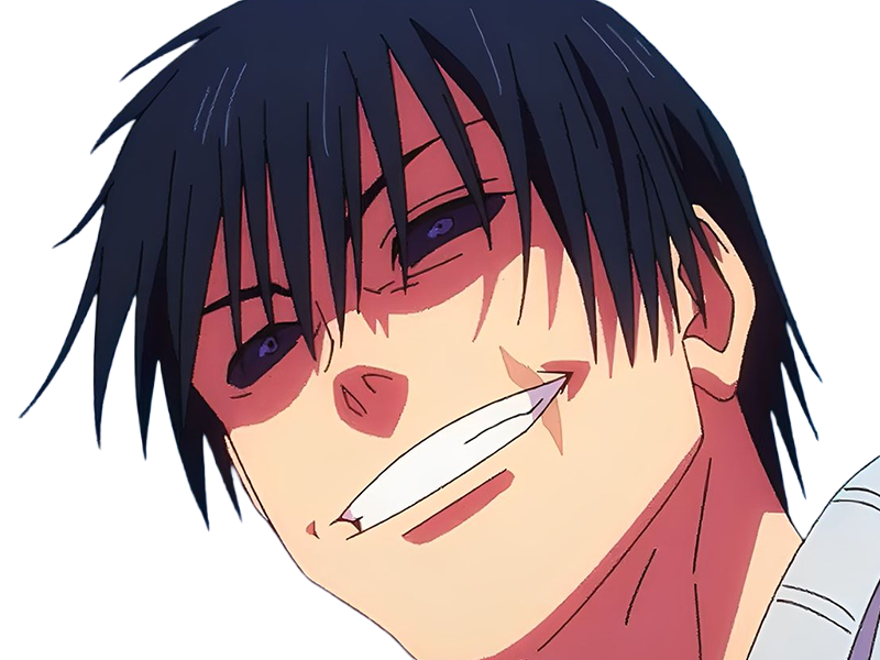 jujutsu kaisen jjk toji fushiguro zenin tueur exorciste anime manga homme