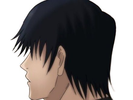 jujutsu kaisen jjk toji fushiguro zenin tueur exorciste anime manga homme