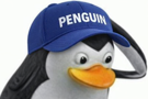 penguin-crypto-trump-pingouin