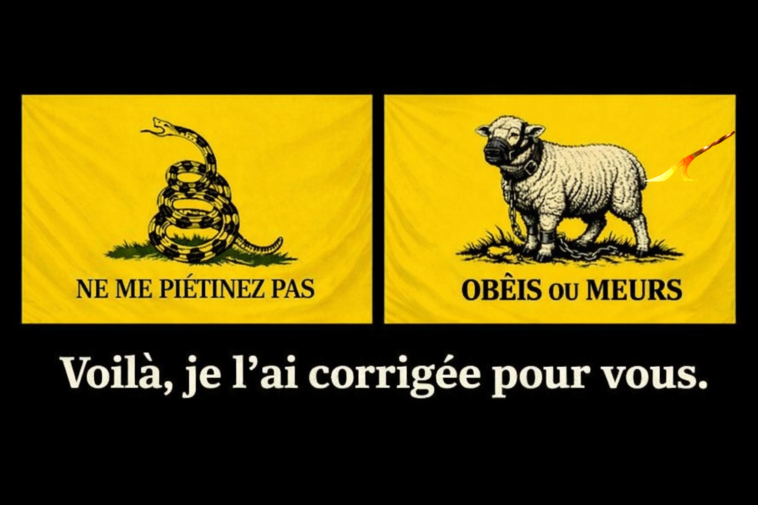 golem droitarde soumis argile doses rn facho nazi pute salope chienne cafard trump maga faf