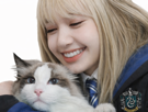 lisa-kawaii-chat-blackpink-kpop-cute-asiatique-idol-kikoojap-poudlard-harry-potter-serdaigle