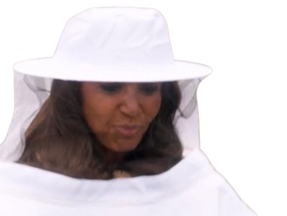 m6u amour est dans le pre abeille apiculteur ruche