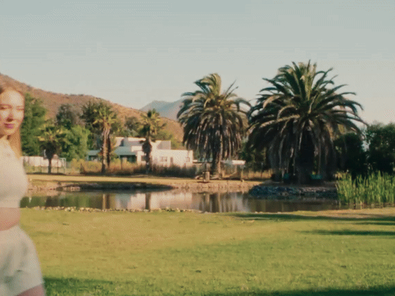 loyaltty guaracheetah chili chilienne chiliennes gif